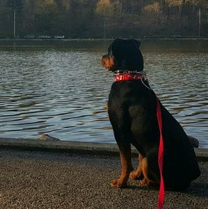 Meet your Posher, Janelle